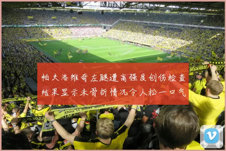 帕夫洛维奇左腿遭高强度创伤检查结果显示未骨折情况令人松一口气